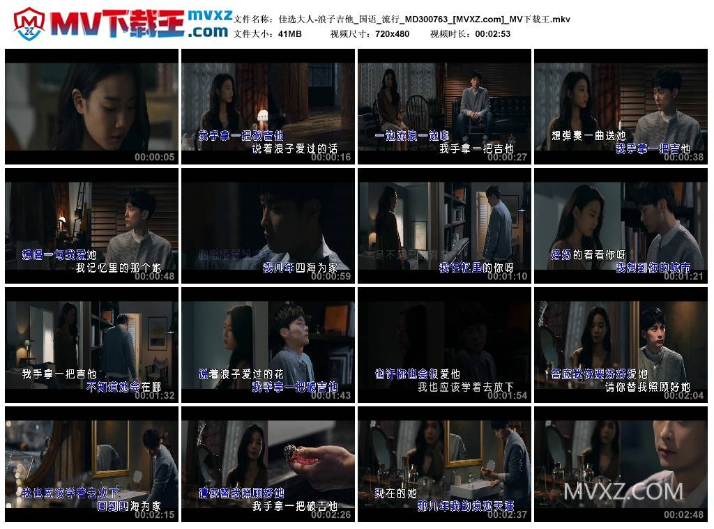 佳选大人-浪子吉他_国语_流行_MD300763